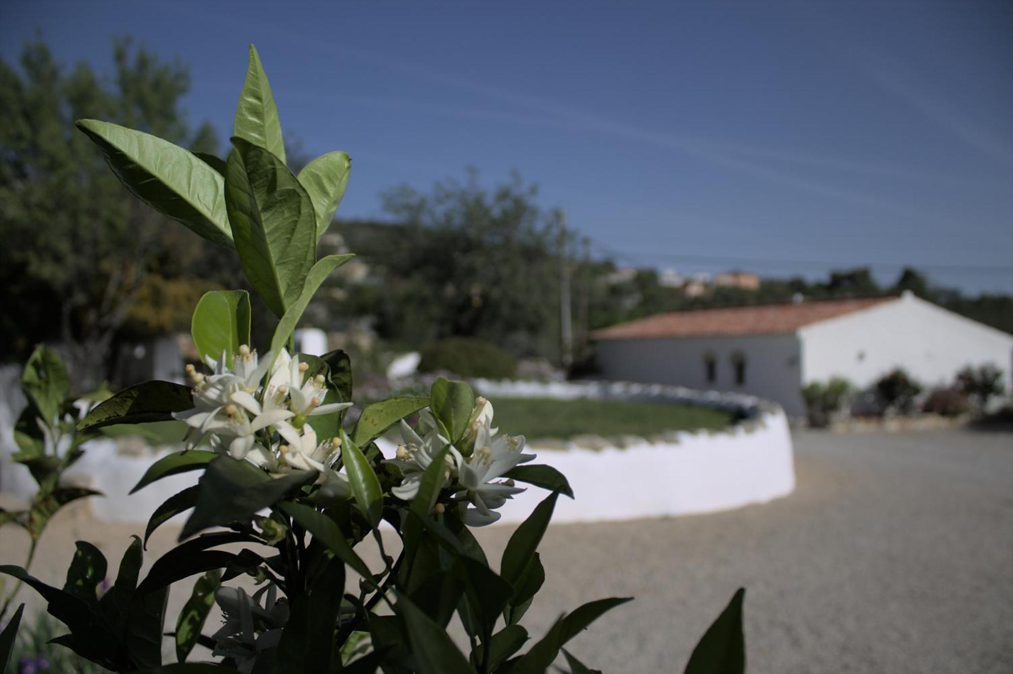Suite Swimming Pool Quinta Da Eira 140 Years Old 楼尔 外观 照片